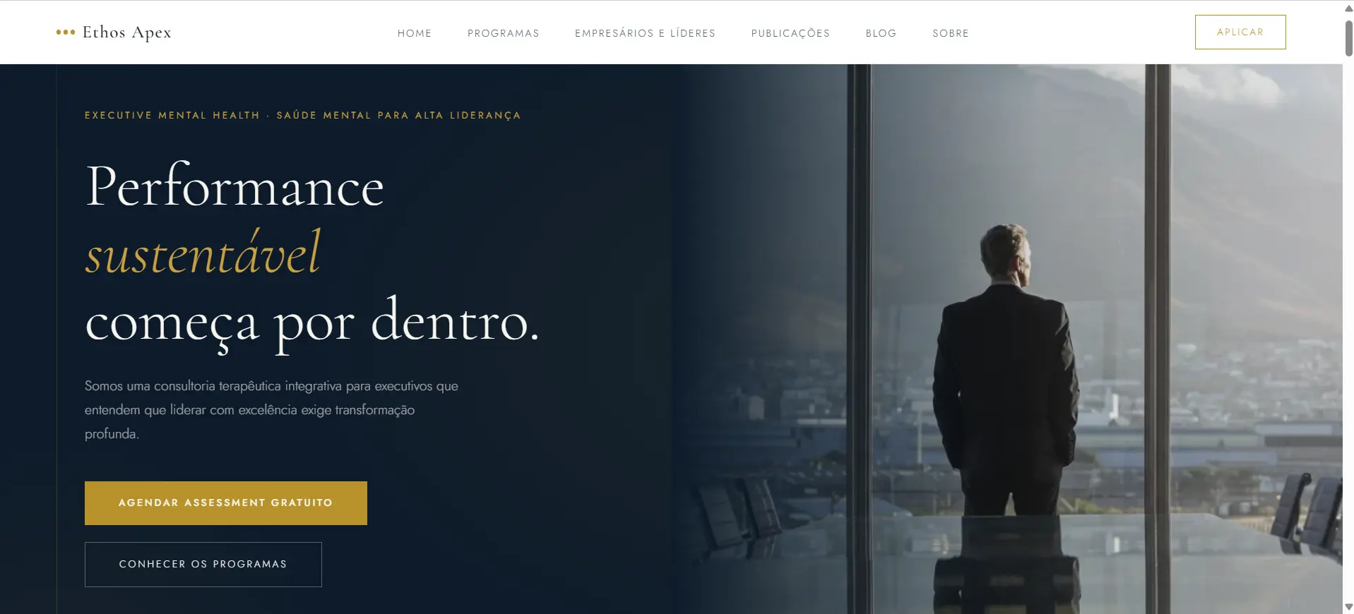 Miniatura do site Ethos APX